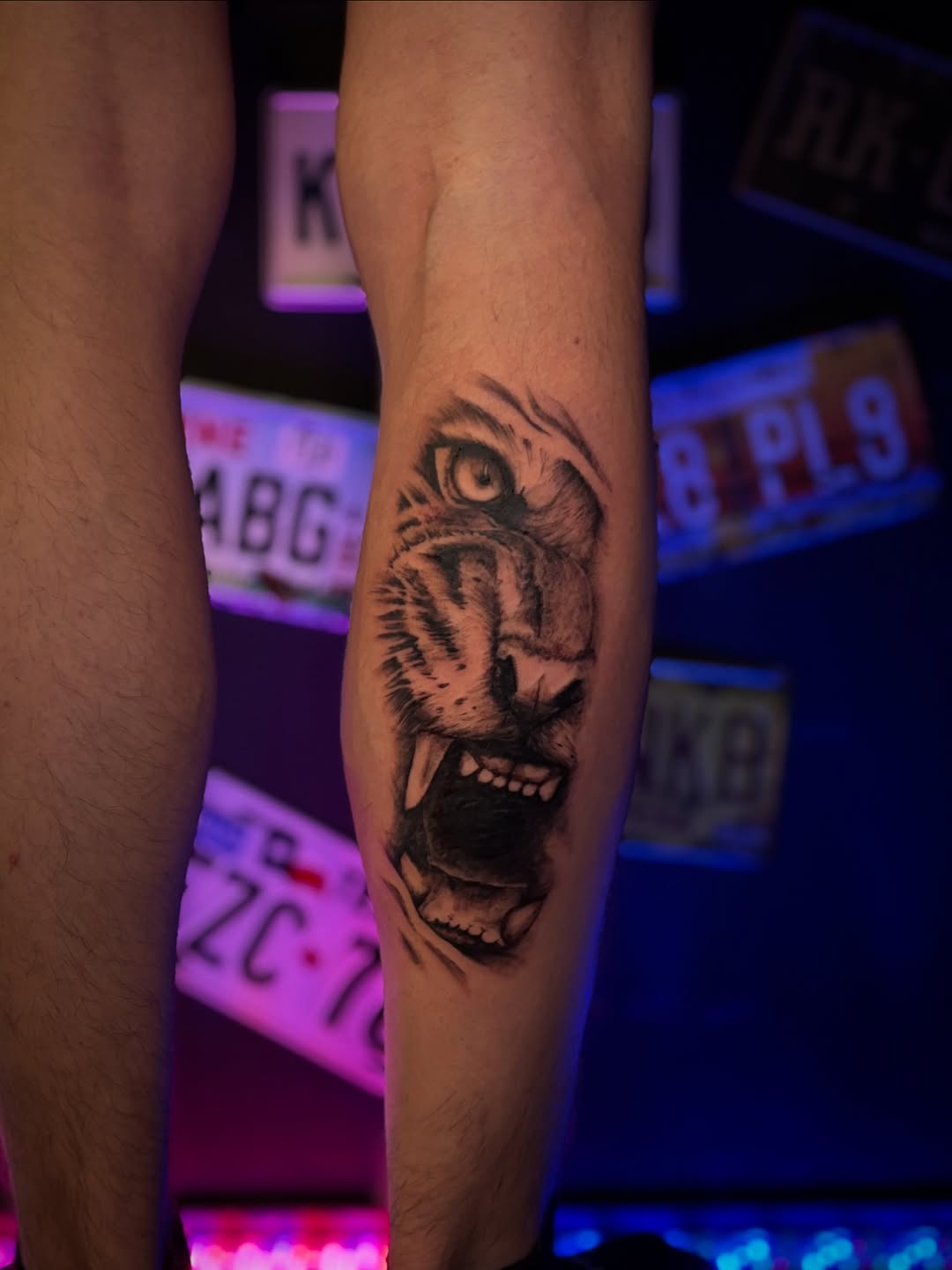 Tatuaż: tygrys · zwierzę. Wykonał Kiziorsky Tattoo - Tatuaż i Piercing - Kraków (Kraków). Otwórz zdjęcie w profilu.
