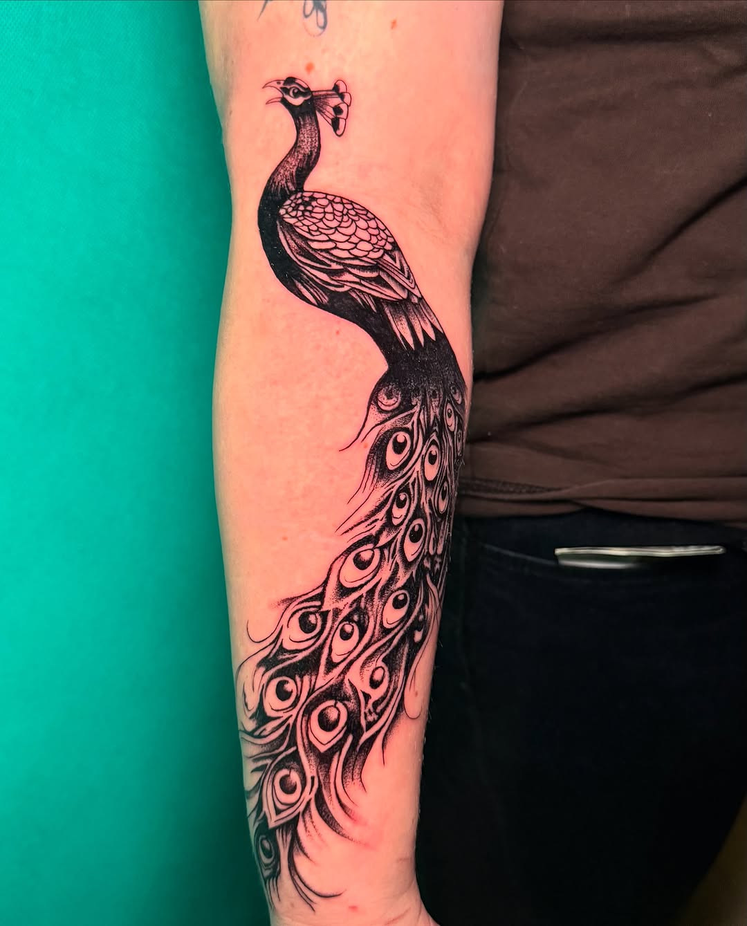 Tatuaż paw na przedramieniu — czarny, Talar ink tattoo, Kraków