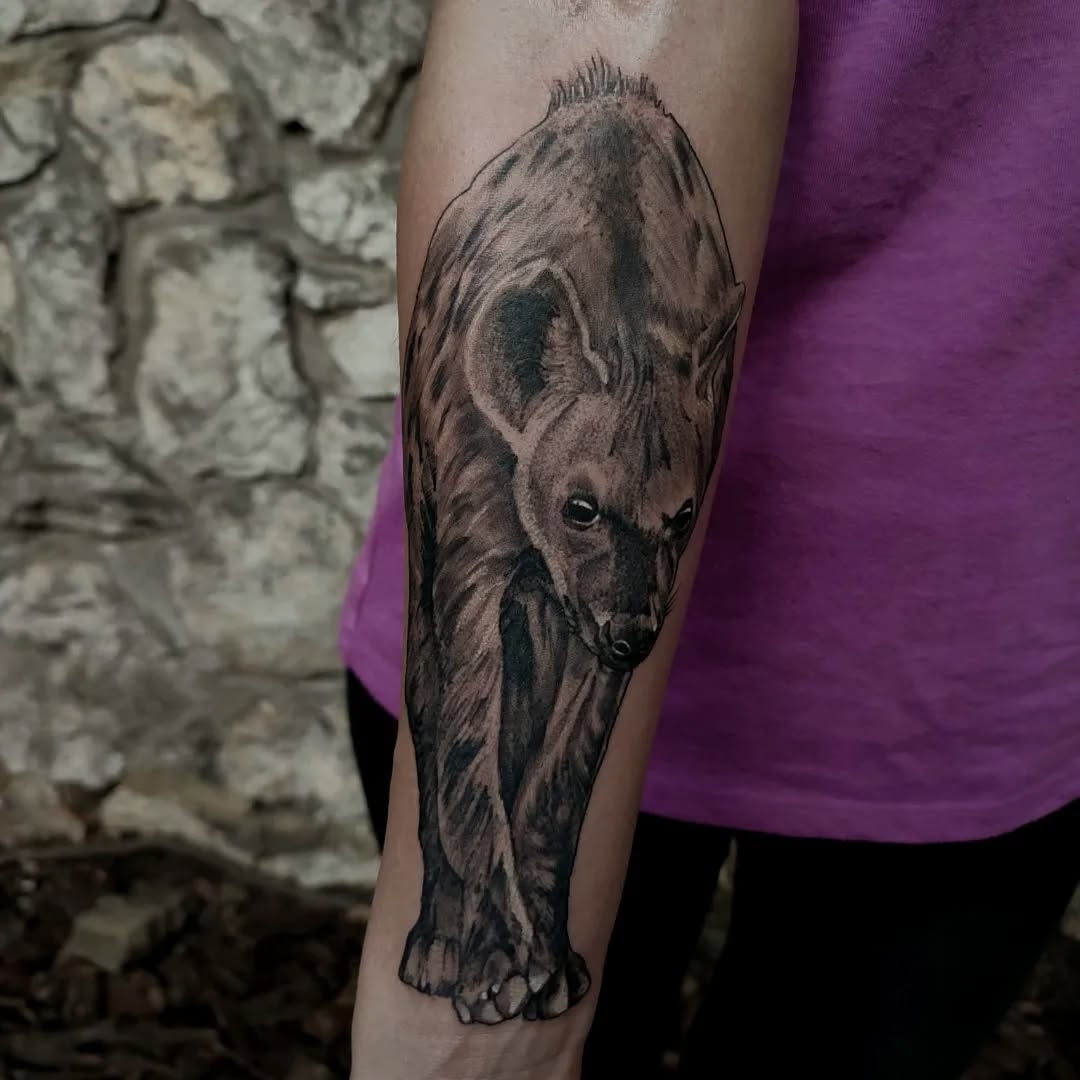Tatuaż hieny na przedramieniu — realistyczny, Kacper, Kraków