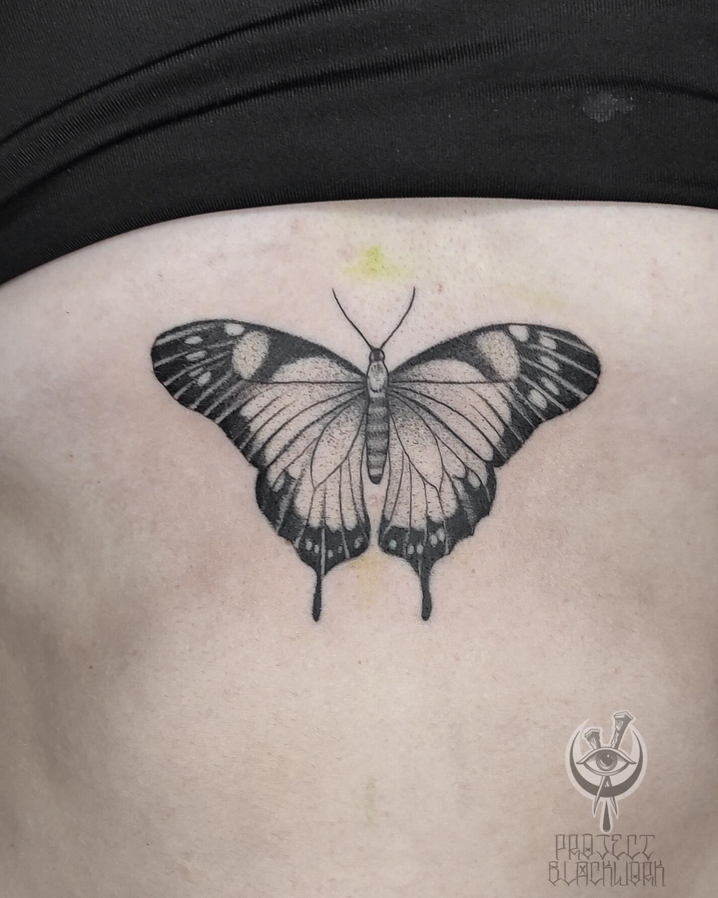 Tatuaż: motyl · owad. Wykonał Dawid (Kraków). Otwórz zdjęcie w profilu.
