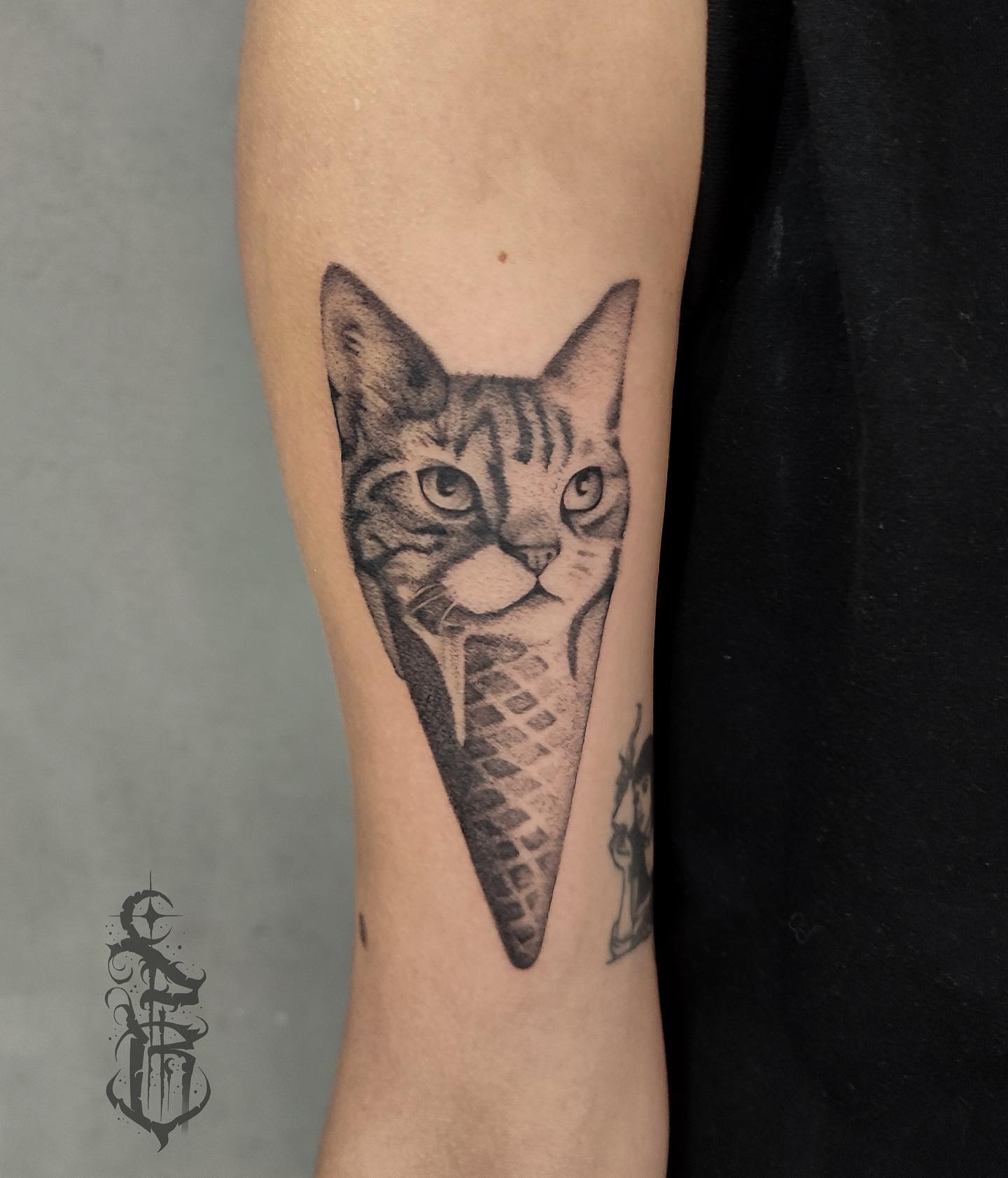 Tatuaż kota na przedramieniu — realistyczny, Dawid, Kraków