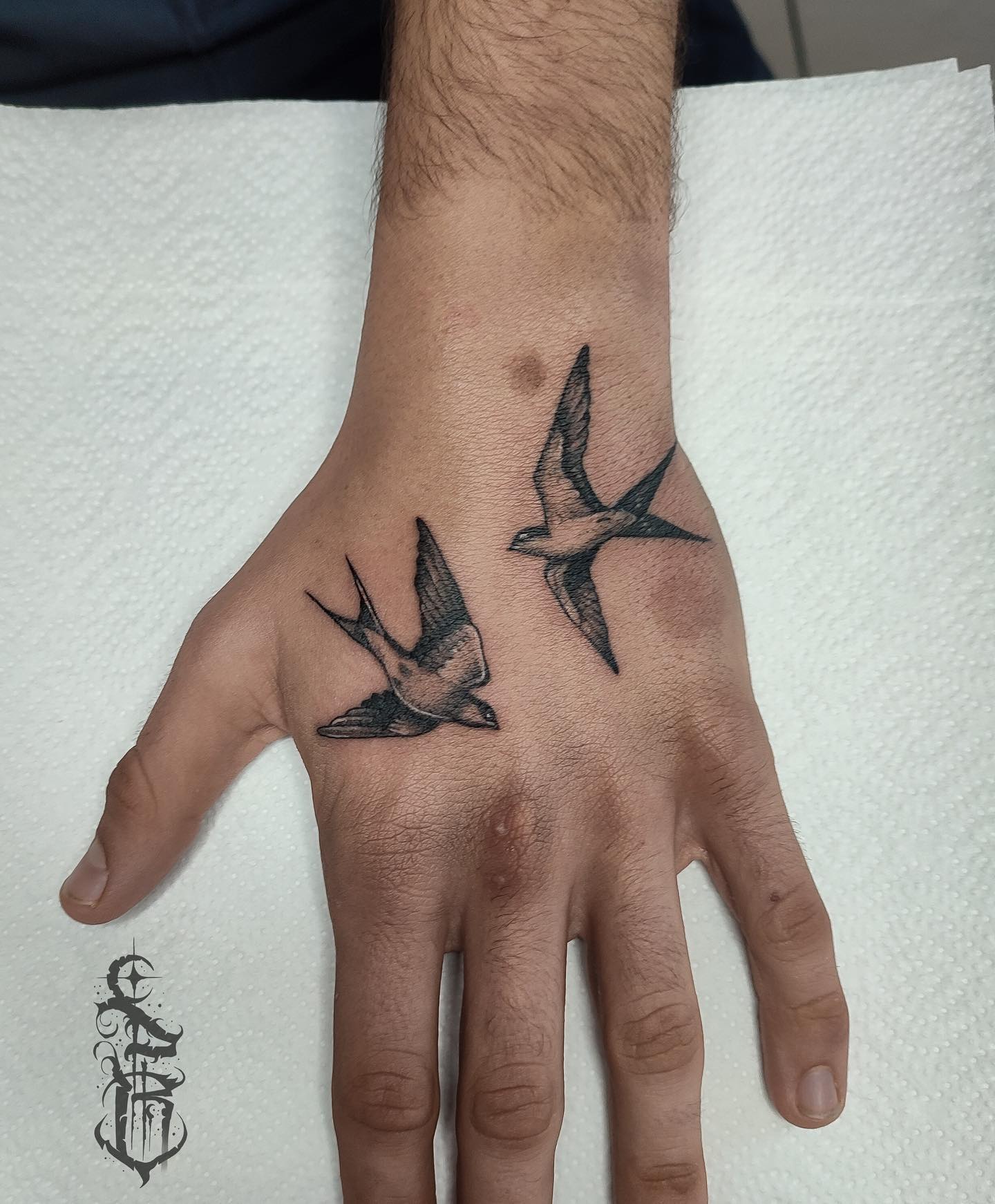 Tatuaż: ptak · zwierzę. Wykonał Dawid (Kraków). Otwórz zdjęcie w profilu.