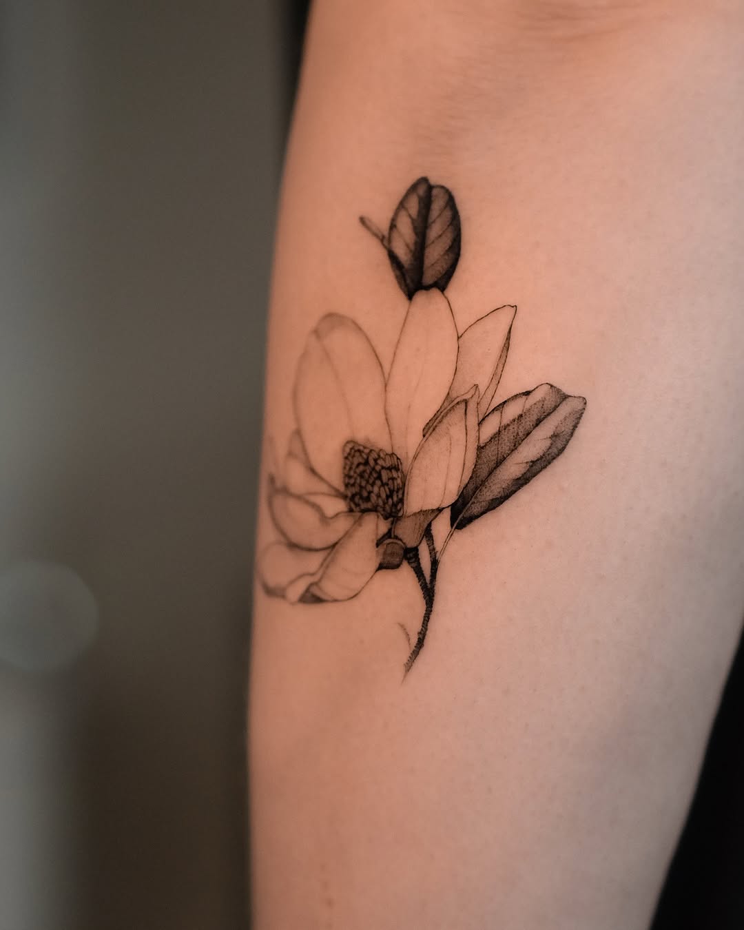 Tatuaż magnolii na przedramieniu — czarno-biały, Anka, Kraków