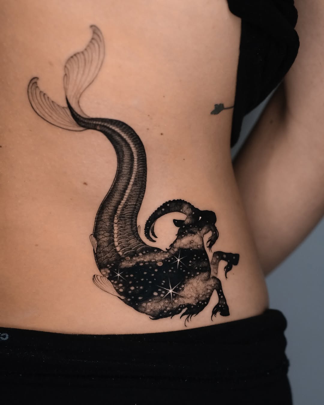 Tatuaż morświna z koziorożcami na plecach — Blackwork, Anka, Kraków