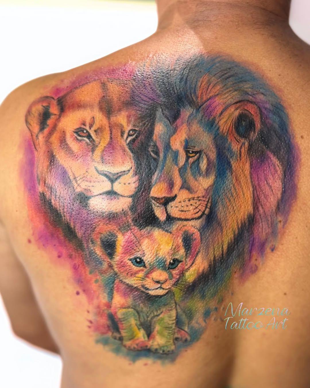Tatuaż lew, lwica i mały lew na plecach — akwarelowy, marzenatattooart, Kraków