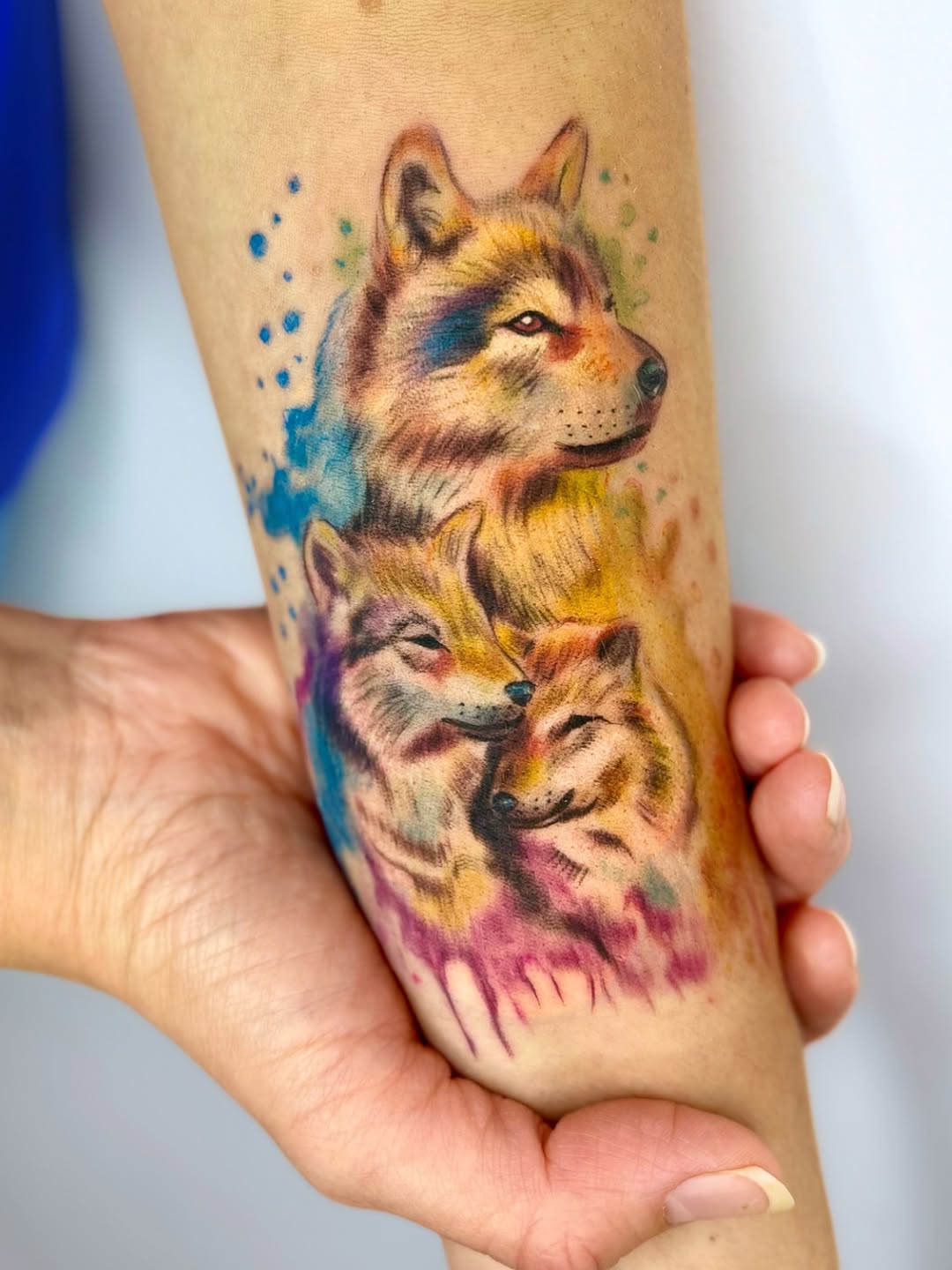 Tatuaż wilków na przedramieniu — akwarelowy, marzenatattooart, Kraków
