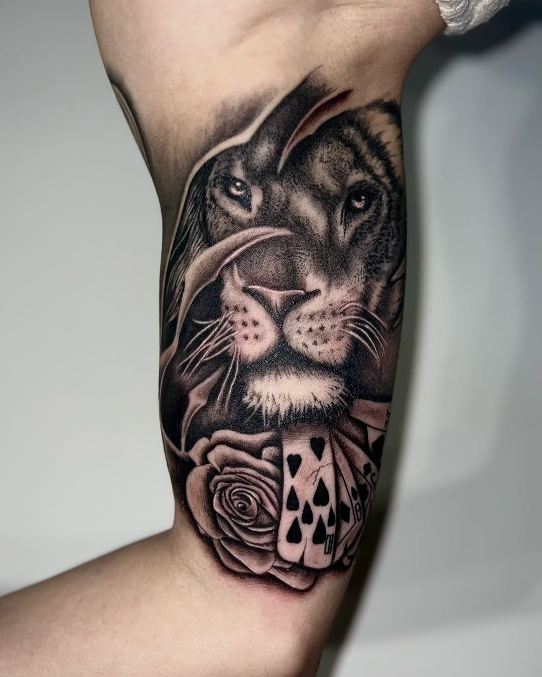 Tatuaż: lew · róża. Wykonał Sandra (Kraków). Otwórz zdjęcie w profilu.